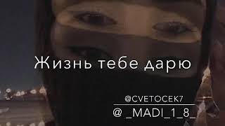 Этой ночью я умру за твою красоту😓 cvetocek7🌸