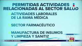 ¿Qué negocios podrán operar durante el semáforo rojo? | Noticias con Francisco Zea