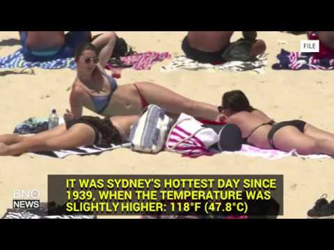 Sydney Swelters as Temperature Reaches 47.3°C (117.1°F)