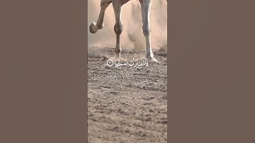 الآيات من 1 إلى 5 من سورة العاديات بصوت الشيخ فارس عباد