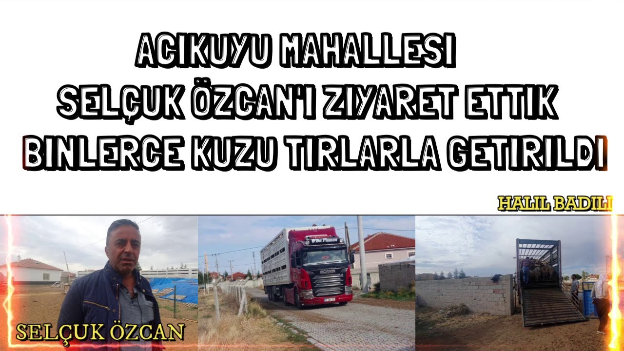 ACIKUYU MAHALLESİ 🔹 SELÇUK ÖZCAN'I ZİYARET ETTİK 🔹 BİNLERCE KUZU TIRLARLA GETİRİLDİ