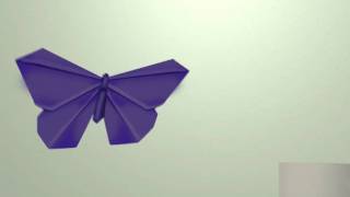 Butterfly Movement Test