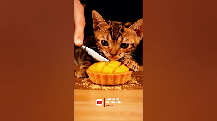 Video 10995301: bengal kittens playing