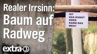 Realer Irrsinn: Baum auf Radweg in Koblenz