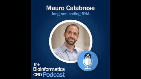Mauro Calabrese - long non-coding RNA