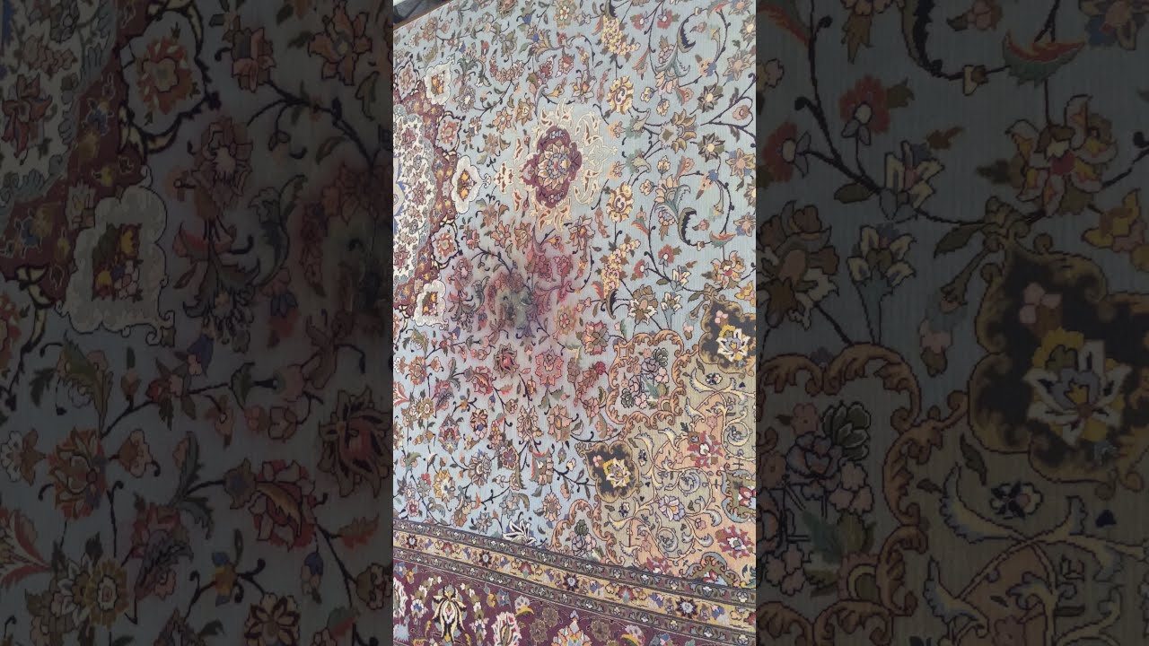 look what the Dog did to the Tabrizs oriental rug