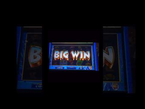 imnotismo de la máquina (casino) #caliente