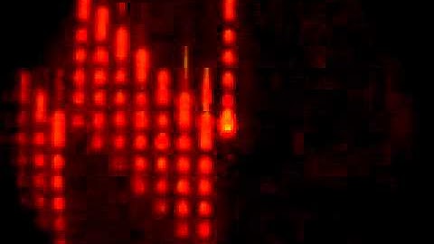 Multipurpose microfluidic probe