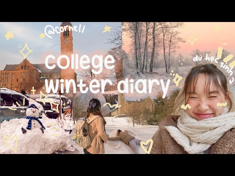 48 HOURS OF COLLEGE ☃️ Winter Diary at Cornell University ❄️