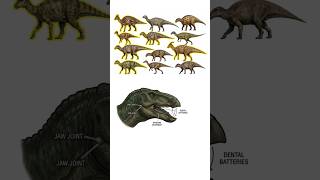 The Most Successful Dinosaurs You Never Knew!