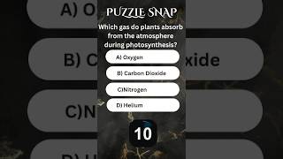 Which Gas Do Plants Absorb During Photosynthesis    #riddles #motivation #