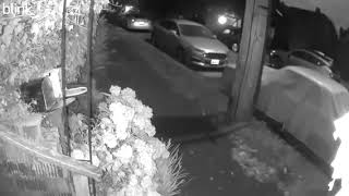 Reader video: Mailbox prowler