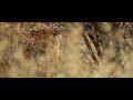Water &amp; Dust, Sand &amp; Wind - Trailer