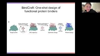 BoltzDesign & Protein Hunter: Inverting Structure Prediction Models for Protein Design
