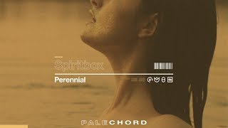 Spiritbox -   Perennial (Official Music Video) chords