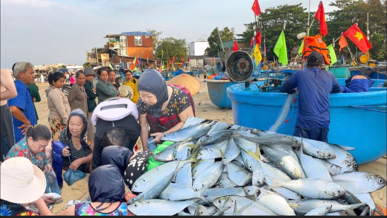 BIỂN LONG HẢI NGƯ DÂN MĨM CƯỜI KHI ĐƯỢC BÀ CÔ ĐỘ SHIP CHO MẼ CÁ MÒI VÀ CÁ NHỒNG 