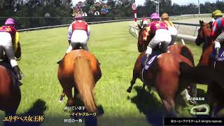 Winning Post 10 2025 GI [546]