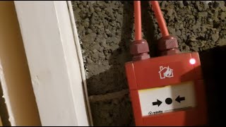 Notifier/Hochiki ESP Fire Alarm System (weekly test 09/11/21 )