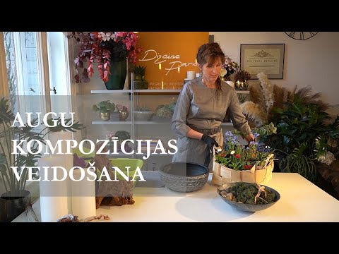 Video: Ziedoši telpaugi jūsu mājām - dārzkopības zināšanas