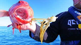 Fish Love These Octopus Lures