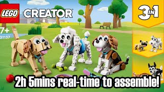 Assembling LEGO Creator 31137 3in1 Adorable Dogs - Timelapse