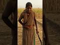 Why 13,000+ Women in Beed lost their Uterus? 💔 #ytshorts #shorts #sugarcane