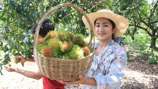 Early season of Rambutan fruit in my village / Yummy rambutan fruit recipe / Cooking with Sreypov