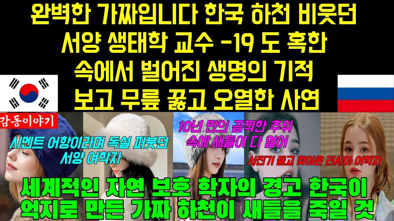 [해외감동사연]  완벽한 가짜입니다 한국 하천 비웃던 서양 생태학 교수 영하 십구 도 혹한 속에서 벌어진 생명의 기적 보고 무릎 꿇고 오열한 사연