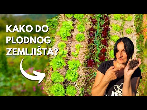 Video: Zašto je potrebno zaštititi i sačuvati samoniklo bilje? Biljke pod zaštitom