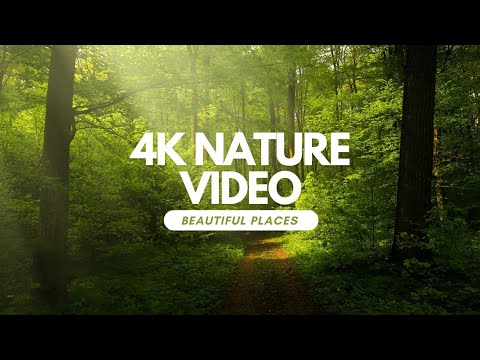 [4k] beauty of nature | drone aerial view | HD video | Stunning Aerial ...