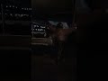 Lyari Cow Mandi | Bakra Peerhi | Karachi