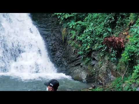 Video: Kehidupan Baru Di Tebing Terusan