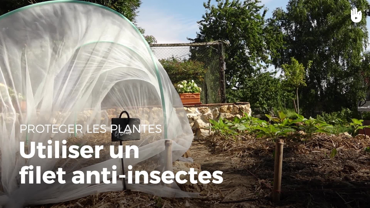 Voile d'hivernage en rouleau Filet Anti-insectes,Filet Anti-insectes  Végétal,Filet Protection Fleurs,Filet Protection Légumes,Filets Jardin  Filet Légumes,Filet Protection ​Oiseaux,Vole Filet de Protec 