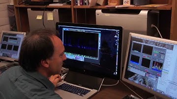 Bioacoustics: The Call of the Owl