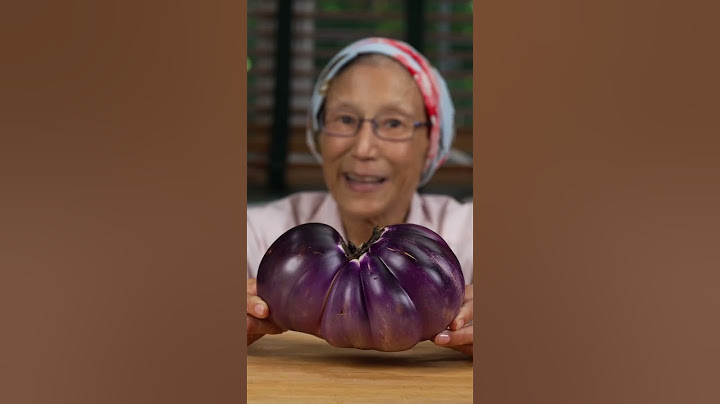 3 Levels of Eggplant!?!