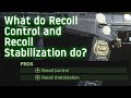 What do "Recoil Control" and "Recoil Stabilization" actually DO in Modern Warfare?