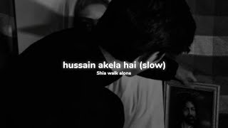 Hussain akela hai (Slowed Reverb) Nadeem Sarwar 