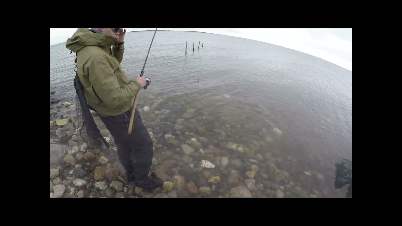 Havørred på Agersø - Langfredag 7  April 2023