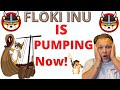 Floki Inu Price Prediction 2022! Floki Inu coin News Today! Floki Inu flips Amazon to trend as No.1
