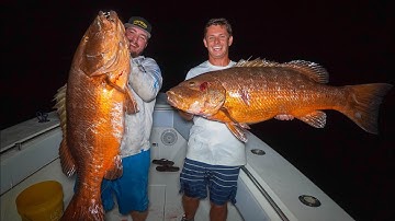 GIANT Cubera Snapper! Catch Clean Cook (Florida Keys Snapper Fishing)