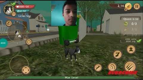 Catsim 200 level 2000 speed