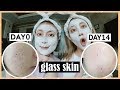 How to Get Korean Glass Skin FAST!! (Our 2 Weeks Skin Transformation) | Q2HAN