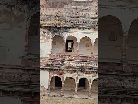 A pan across the carved jharokhas of the palace front