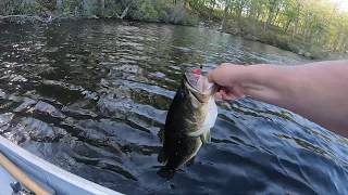 Fishing Upstate NY I Had A Snake 🐍 In The Boat!!!