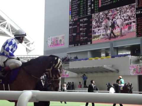 第71回桜花賞ﾊﾟﾄﾞｯｸ　J騎乗