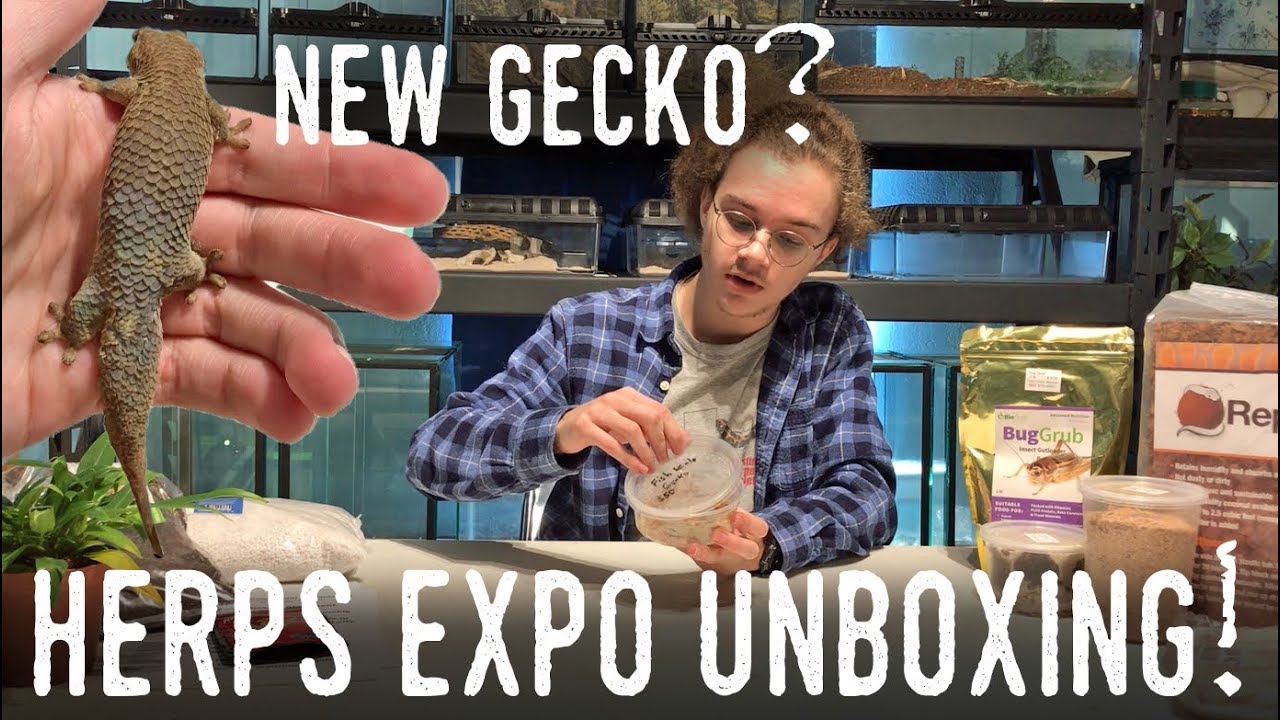 brian williams RARE NEW GECKO! HERPS Austin Unboxing/Haul, December 2017
