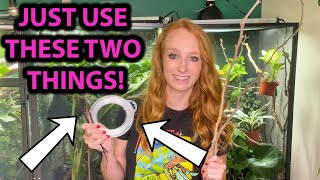 How to attach branches in a chameleon enclosure