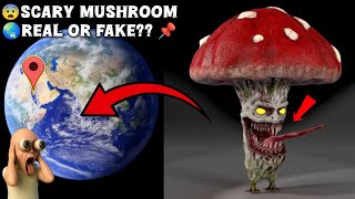 😨Find a scary giant mushroom in google earth🌏📌 #viralvideo #opdifender06 #googleearth #mushroom