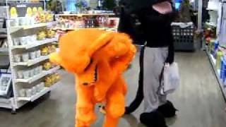 Kyuubi And Tootless Cosplays