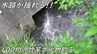 水路が揺れ 竿が悲鳴をあげた！！やっぱりミミズが最強！！
